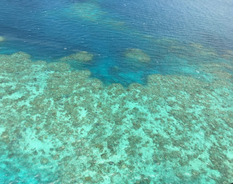 大堡礁