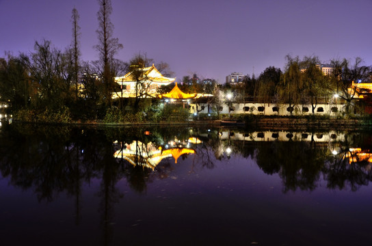 翠湖夜景