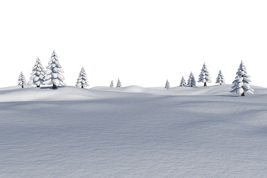 雪地中的冷杉树