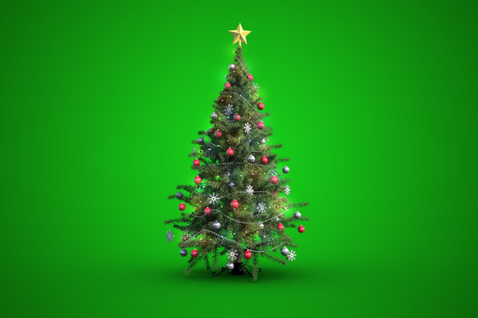 绿色背景下的圣诞树