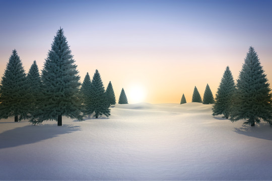 雪景观和冷杉树