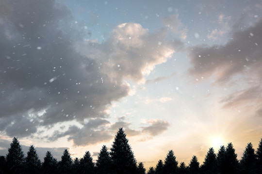 下雪的复合图像