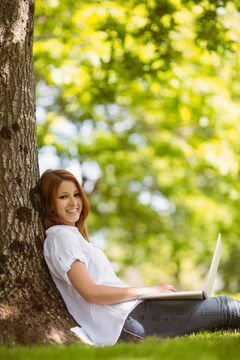 坐在树下用笔记本电脑的女人