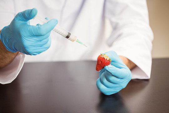 科学家为草莓做注射