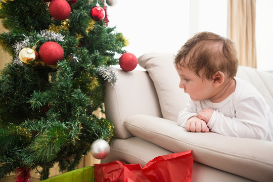 可爱的小男孩看着圣诞树