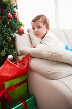 可爱的小男孩看着圣诞树