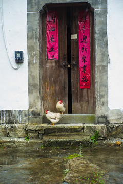 农家