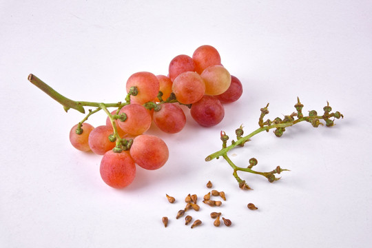 葡萄和籽高清靓图高精度素材图