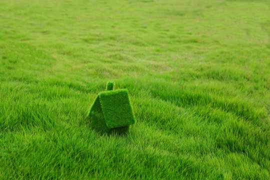 草坪上的草房子
