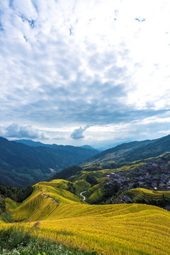 龙脊梯田