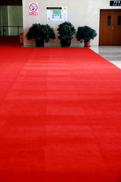 红地毯