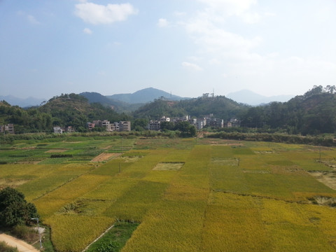 秋天的田野