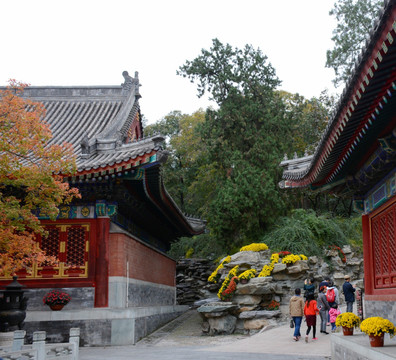 北京香山风景