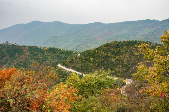 蜿蜒的山路