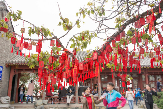 树上的祈福牌 祈福祝愿