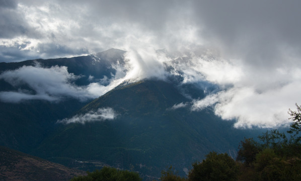 高山云雾