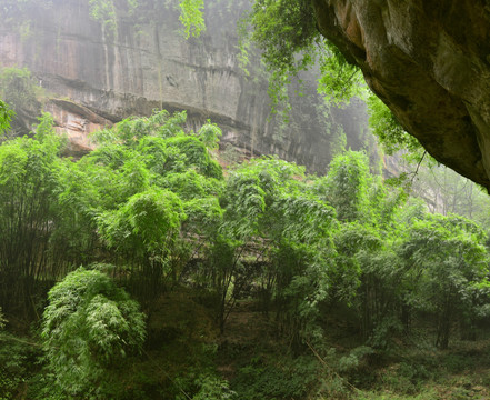 竹海竹林 悬崖峭壁 高山峡谷