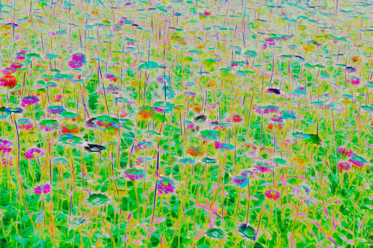 抽象花卉装饰画 无分层