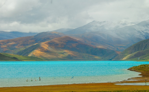 羊卓雍湖  高原堰塞湖