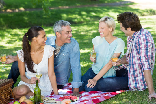 坐在公园里野餐的家人