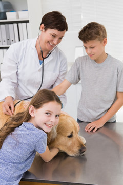 兽医为男孩的小狗做检查