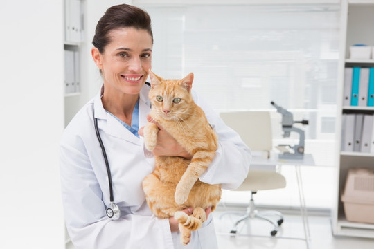 兽医为小猫做检查