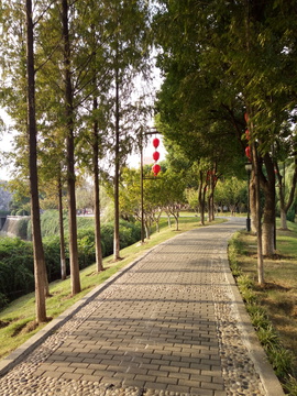 夕阳公园小径