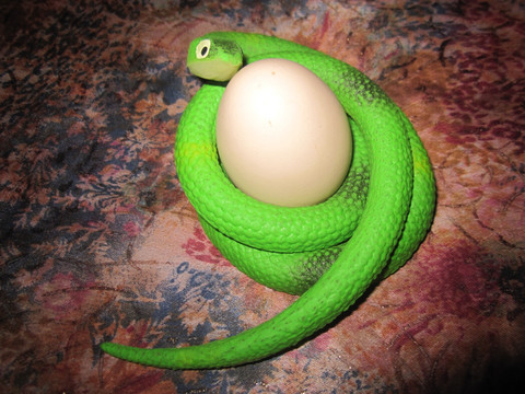 青蛇吃鸡蛋