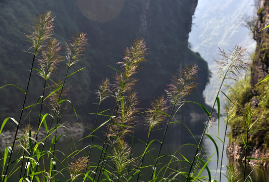 阿蓬江峡谷