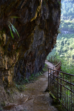 阿蓬江峡谷