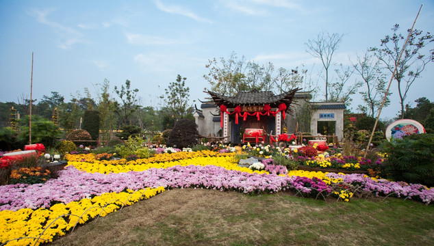 菊展 水乡风光