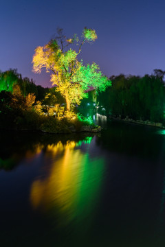 大明湖公园夜景