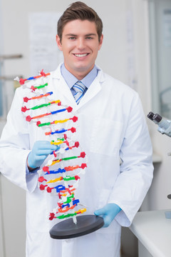 微笑科学家控股DNA模型