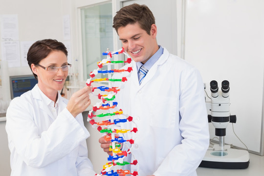 微笑的科学家用DNA模型工作