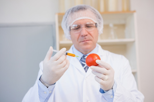 美食科学家用心与红番茄