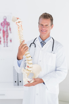 拿着脊椎模型的男医生