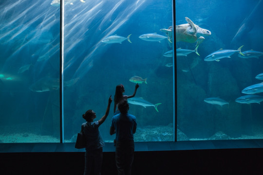 在水族馆看鱼的一家人