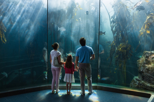 在水族馆里看鱼的一家人