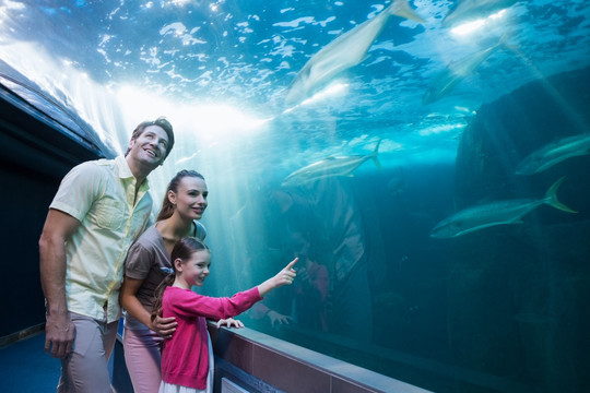 在水族馆看鱼的一家人