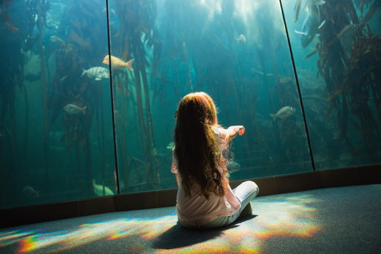 小女孩看着鱼缸里的鱼