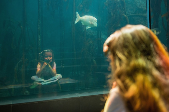 小女孩看着鱼缸里的鱼