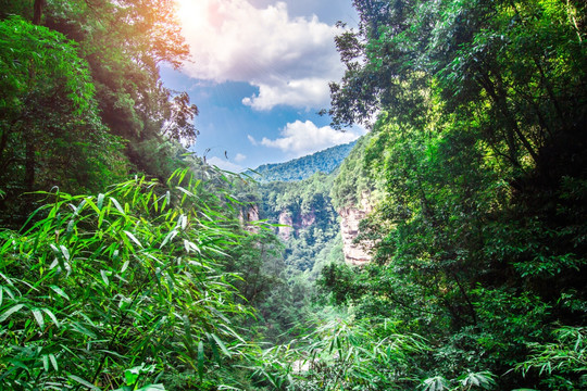 高山