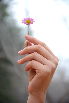 拿花的手 形态优美 手