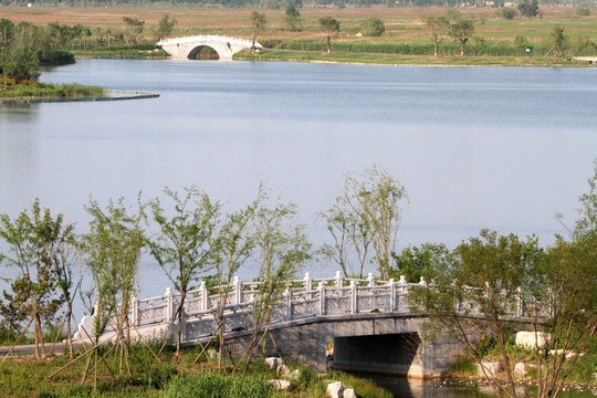 马踏湖湿地公园