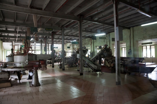 斯里兰卡茶厂