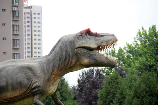 陕西省自然博物馆 恐龙