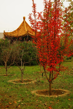 f风景