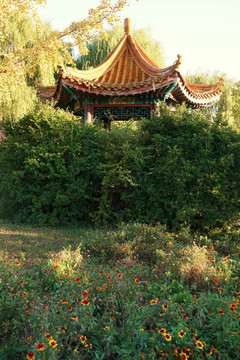 风景
