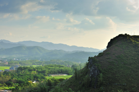 金秋田野