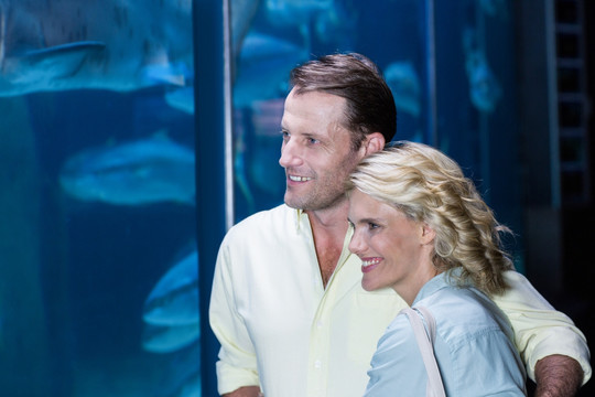 微笑着在水族馆看鱼的夫妇